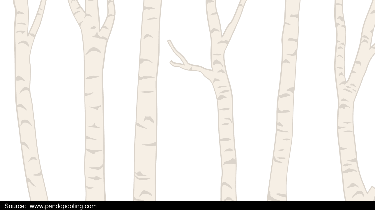 67347acf516a211752ee0f4c_birch_black_white-baseball-(1).png